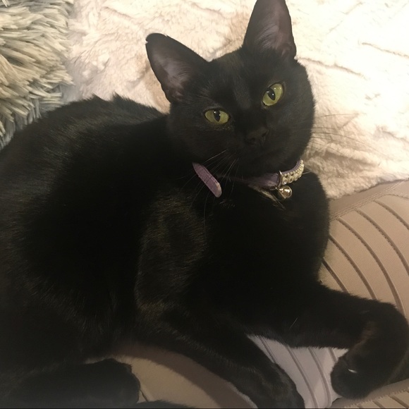 Meet Your Posher, Kristin - Picture 8 of 8